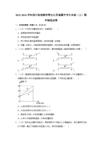 四川省成都市青白江区城厢学校2023-2024学年九年级上学期期中物理试卷