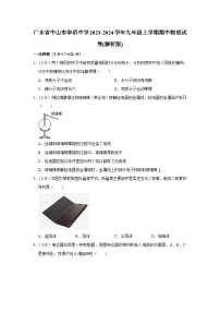 广东省中山市华侨中学2023-2024学年九年级上学期期中物理试卷