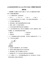 山东省济南市济阳区2023-2024学年九年级上学期期中物理试卷