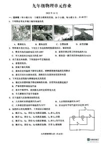 山东省临沂市沂水县2023-2024学年九年级上学期期中考试物理试题