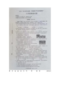 山东省菏泽市成武县2023-2024学年八年级上学期11月期中物理试题