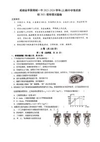 四川省成都金苹果锦城第一中学2023-2024学年九年级上学期11月期中物理试题