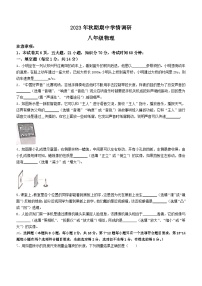 河南省南阳市桐柏县2023-2024学年八年级上学期11月期中物理试题