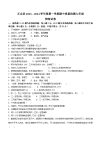 河北省石家庄市正定县2023-2024学年九年级上学期11月期中物理试题