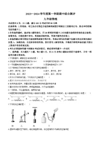 广东省河源市紫金县2023-2024学年九年级上学期期中考试物理试题