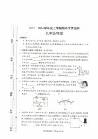 河南省驻马店市平舆县2023-2024学年九年级上学期11月期中物理试题