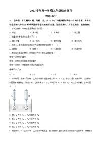 上海市罗星中学2023-2024学年九年级上学期期中考试物理试题