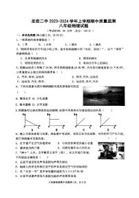 福建省龙岩市第二中学2023-2024学年九年级上学期11月期中物理试题