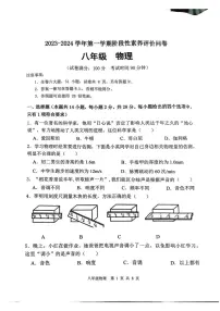 福建省漳州市龙海市2023-2024学年八年级上学期11月期中物理试题