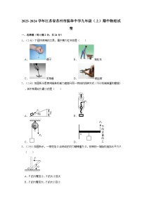 江苏省苏州市振华中学2023-2024学年九年级上学期期中物理试卷