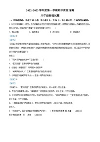 江苏省徐州市铜山区2022-2023学年八年级上学期期中物理试题 （解析版）