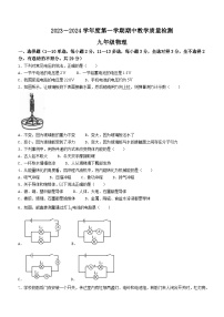 河北省石家庄市栾城区2023-2024学年九年级上学期期中教学质量检测物理试题