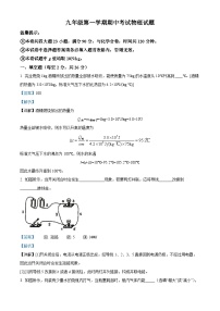 陕西省商洛市洛南县仓颉九年制学校2023-2024学年九年级上学期期中物理试题（解析版）