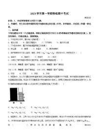 上海市民办新复兴初级中学2023-2024学年九年级上学期期中考试物理试卷(无答案)