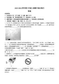 河南省信阳市淮滨县2023-2024学年八年级上学期11月期中物理试题