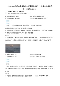 山东省临沂市莒南县2022-2023学年九年级上学期期中物理试题（解析版）