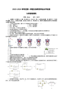 湖南省岳阳市汨罗市2023-2024学年九年级上学期期中考试物理试题