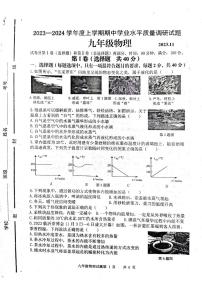 山东省临沂市临沂经济技术开发区2023-2024学年九年级上学期11月期中物理试题