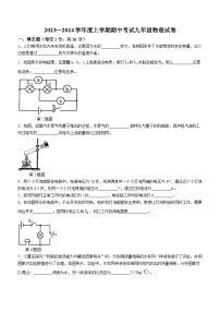 江西省抚州市东乡区2023-2024学年九年级上学期11月期中物理试题