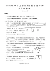 河南省周口市沈丘县中英文学校等校2023-2024学年九年级上学期11月期中物理试题