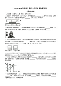 河南省漯河市郾城区2023-2024学年八年级上学期11月期中物理试题