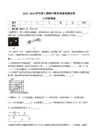 河南省漯河市郾城区2023-2024学年九年级上学期11月期中物理试题