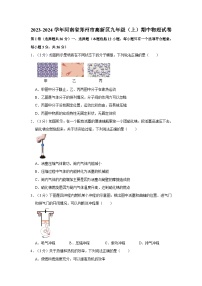 河南省郑州市高新区2023-2024学年九年级上学期期中物理试卷