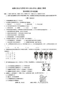 四川省成都市石室教育集团2023-2024学年九年级上学期11月期中物理试题