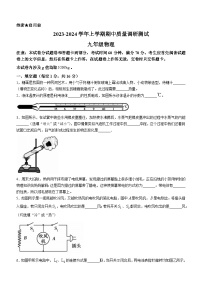 河南省鹤壁市外国语中学2023-2024学年九年级上学期期中考试物理试题