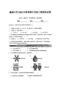 _福建省惠安螺城中学2023-2024学年九年级上学期11月期中物理试题