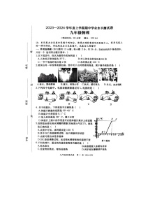 广西壮族自治区百色市田阳区2023-2024学年九年级上学期11月期中物理试题