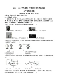 广西壮族自治区北海市合浦县2023-2024学年九年级上学期期中物理试题