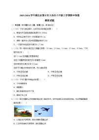 2023-2024学年湖北省黄石市大冶市八年级上学期期中物理模拟试题（含解析）