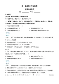 山东省泰安市泰山区（五四制）2023-2024学年九年级上学期期中考试物理试题（解析版）