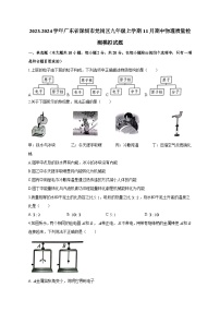 2023-2024学年广东省深圳市龙岗区九年级上学期11月期中物理质量检测模拟试题（含答案）