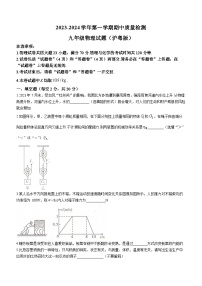 安徽省池州市部分学校2023-2024学年九年级上学期期中质量检测物理试题