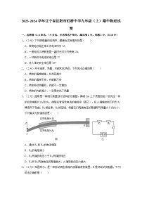 辽宁省沈阳市虹桥中学2023-2024学年九年级上学期期中物理试卷