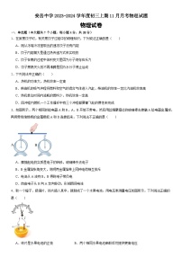 四川省安岳中学2023-2024学年上学期九年级11月月考物理试题