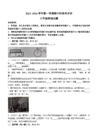 河南省濮阳市范县2023-2024学年八年级上学期期中物理试题