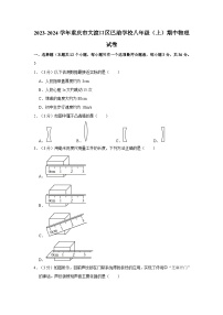 重庆市巴渝学校2023-2024学年八年级上学期期中考试物理试卷