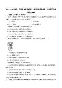 甘肃省武威市凉州区武威十六中学联考2023-2024学年九年级上学期11月月考物理试题