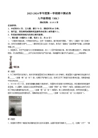 河南省周口市郸城县优质中学联考2023-2024学年九年级上学期11月期中物理试题