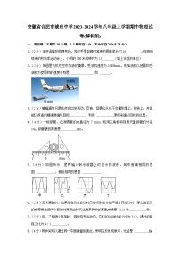 安徽省合肥市琥珀中学2023-2024学年八年级上学期期中物理试卷