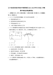 辽宁省沈阳实验学校初中教育集团2023-2024学年九年级上学期期中物理试卷