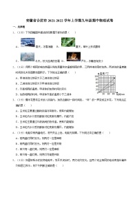 安徽省合肥市2021-2022学年上学期九年级期中物理试卷