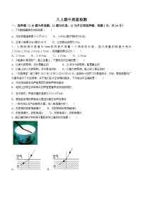 黑龙江省哈尔滨市第四十七中学校2023-2024学年八年级上学期期中考试物理试题(无答案)