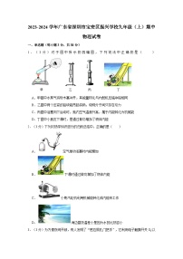 广东省深圳市宝安区振兴学校2023-2024学年九年级上学期期中物理试卷