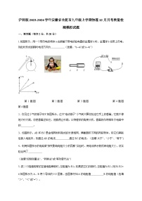 2023-2024学年安徽省合肥市瑶海区沪科版九年级上学期物理12月段考练习质量检测模拟试题（含答案）