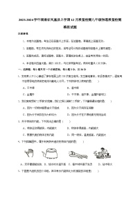 2023-2024学年湖南省凤凰县上学期12月质量检测九年级物理质量检测模拟试题（含答案）