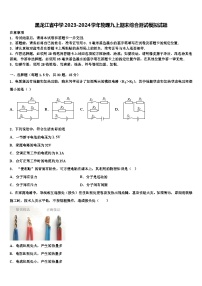 黑龙江省中学2023-2024学年物理九上期末综合测试模拟试题